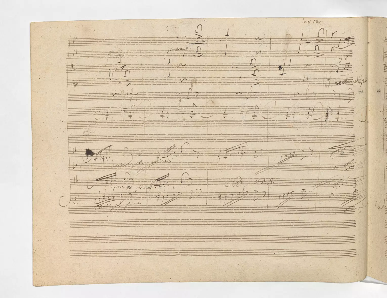 Autograph score of Beethoven's Ninth Symphony, "Allegro ma non troppo e un poco maestoso" (folio 8, verso)